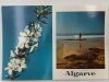 ALGARVE PORTUGALIA KWIAT I PLAŻA