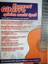 KONZERT GITARRE SPIELEN MACHT SPASS