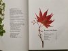 KOSMOS-ATLAS BAUME - Roger Phillips 
