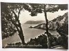 RIVIERA DEI FIORI – ALASSIO – PINETA E CAPPELLETTA
