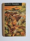 ŻÓŁTY TYGRYS: KIERUNEK ZAGŁĘBIE - Jan Alski 1967
