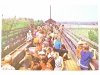 CIECHOCINEK. NA TARASIE TĘŻNI SOLANKOWEJ FOT. J. CHOJNACKI, A. ZBORSKI