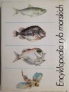 ENCYKLOPEDIA RYB MORSKICH - Stanisław Rutkowicz 1982