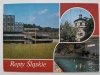 REPTY ŚLĄSKIE. TRZY UJĘCIA FOT. ZIELIŃSKI