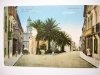 LAS PALMAS J. PERESTRELLO, PHOTO