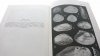 ZOOLOGIA BEZKRĘGOWCE TOM 1 CZĘŚĆ 3 - Grabda 1984