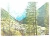 COGNE M. 1534 VALLE D'AOSTA