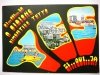 A BIBIONE DIMENTICO TUTTO
