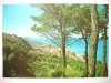 CUPRAMARITTIMA. PANORAMA VISTO DALLA PINETA S. ANDREA