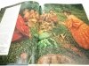 BYLIŚMY TAM. KRZYSZTOF KOLUMB - JohnD. Clare 1992