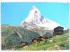 SUISSE. LE CERVIN 4476 m