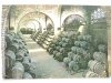 CAVAS CODORNIU. SAN SADURNI DE NOYA. UNA BODEGA