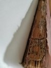 KATHOLISCHE BILDERBIBEL. ILUSTROWANA BIBLIA W JĘZYKU NIEMIECKIM 1908