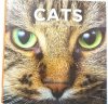 CATS – A MASTERPIECE OF NATURE 2009