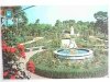 MADRID. PARQUE DEL RETIRO ROSALEDA