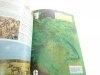 SATELITARNY ATLAS ŚWIATA - David Flint 1997