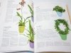 ENCYKLOPEDIA PIELĘGNACJI. ROŚLINY POKOJOWE 2006