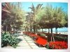 RIVIERA DELLE PALME – PIETRA LIGURE. PASSEGGIATA LUNGOMARE