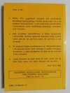 UZASADNIENIE PISOWNI ANGIELSKIEJ - Mario Li Ulfe 1999