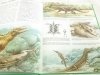 TAJEMNICE ZWIERZĄT. PREHISTORIA - Michel Cuisin 1990