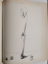 ANATOMIA DLA ARTYSTY - Jeno Barcsay 