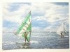 WINDSURFING FOT. J. UKLEJEWSKI