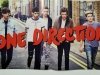 PLAKAT. DAWID KWIATKOWSKI. ONE DIRECTION