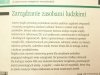 ZARZĄDZANIE ZASOBAMI LUDZKIMI Eugene McKenna 1999