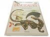 PATRZĘ PODZIWIAM POZNAJĘ DINOZAURY - Norman 1994