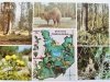 PUSZCZA BIAŁOWIESKA. PIĘĆ UJĘĆ I MAPKA FOT. ŁAPIŃSKI I INNI