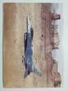 LOTNICTWO NR 13 1994