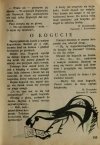 ZBIÓR ŚWIERCZYK ISKIERKI 1955 R