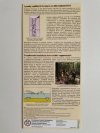 BURSZTYN BAŁTYCKI. HISTORIA NATURALNA ZŁOŻA I WYDOBYWANIE 2010