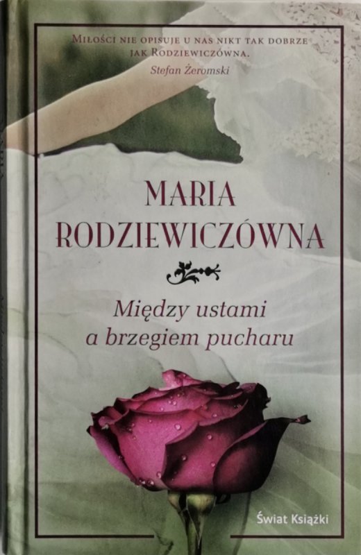 MIĘDZY USTAMI A BRZEGIEM PUCHARU - Maria Rodziewiczówna