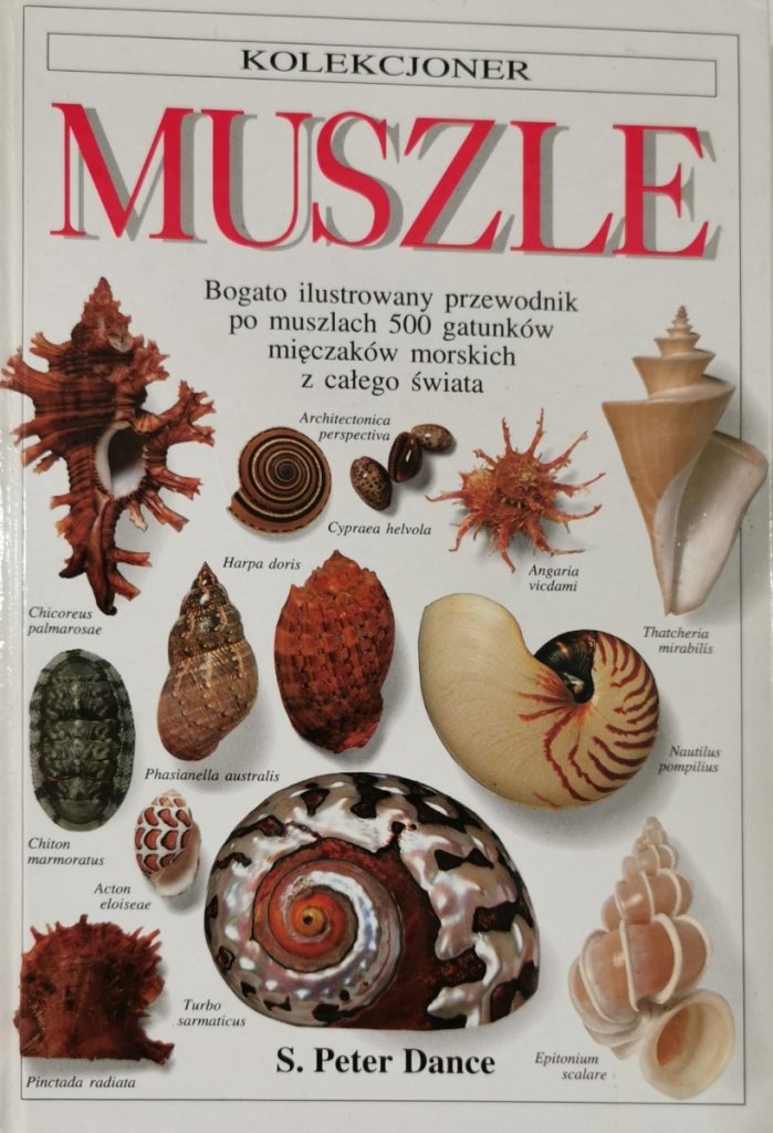 MUSZLE. BOGATO ILUSTROWANY PRZEWODNIK PO MUSZLACH 500 GATUNKÓW MIĘCZAKÓW MORSKICH Z CAŁEGO ŚWIATA