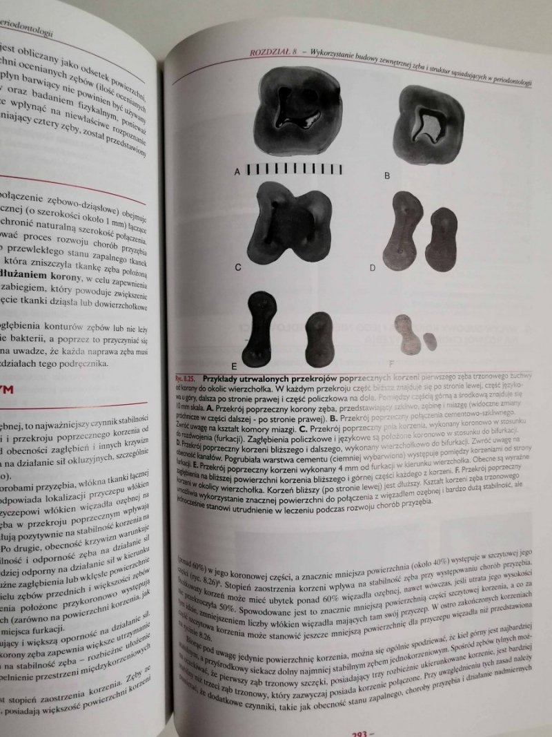 ANATOMIA STOMATOLOGICZNA WOELFELA