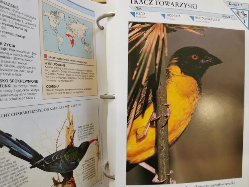 ENCYKLOPEDIA ZWIERZĄT OD A DO Z. 6 SEGREGATORÓW
