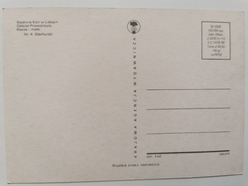 STADNINA KONI W LISKACH. ODDZIAŁ PRZEWARSZYTY. KLACZE – MATKI FOT. STACHURSKI