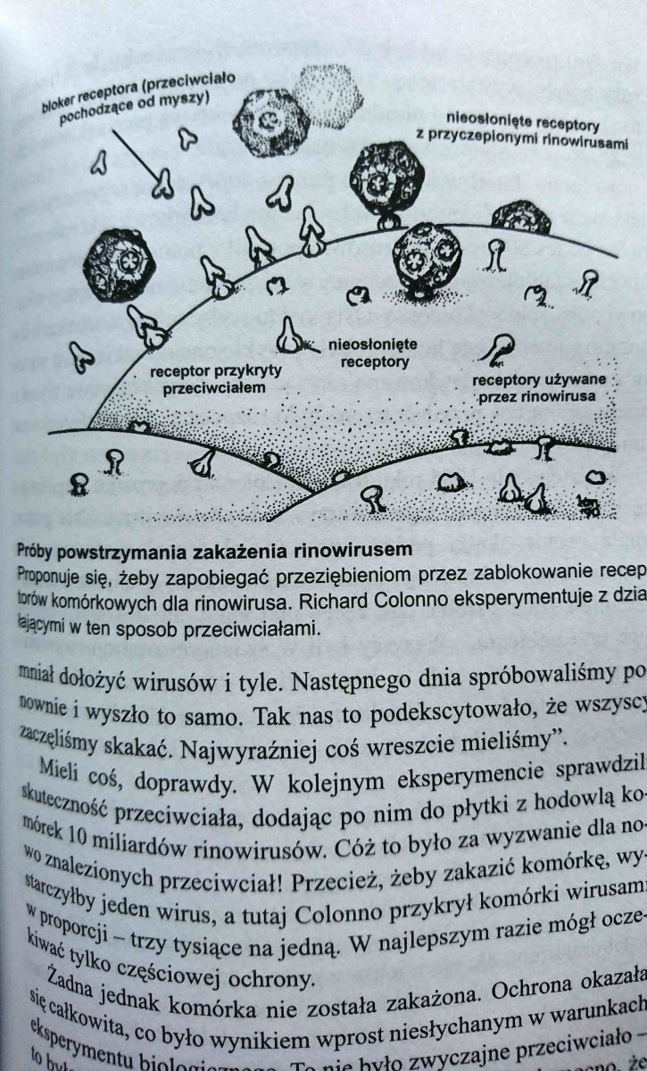 NIEWIDZIALNI NAJEŹDŹCY - Peter Radetsky 1998