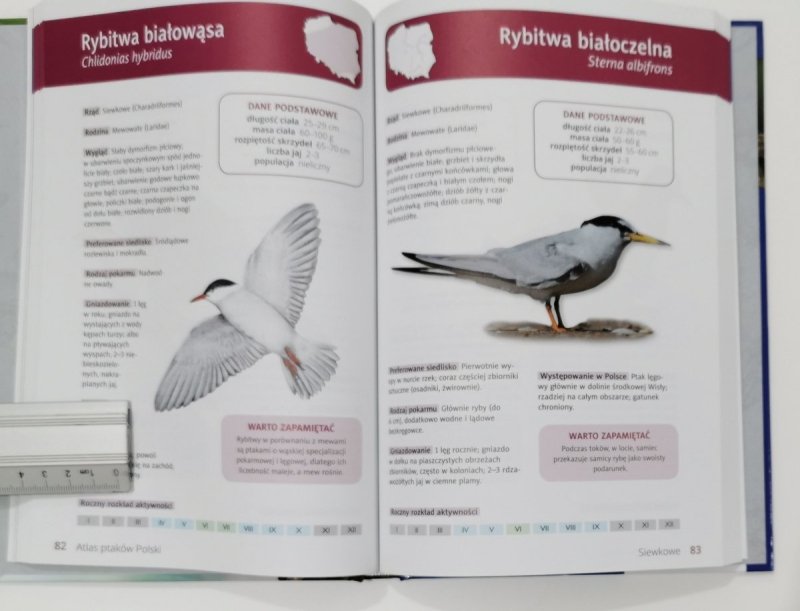ATLAS PTAKÓW POLSKICH