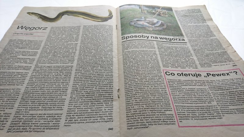VADEMECUM WĘDKARZA. LATO