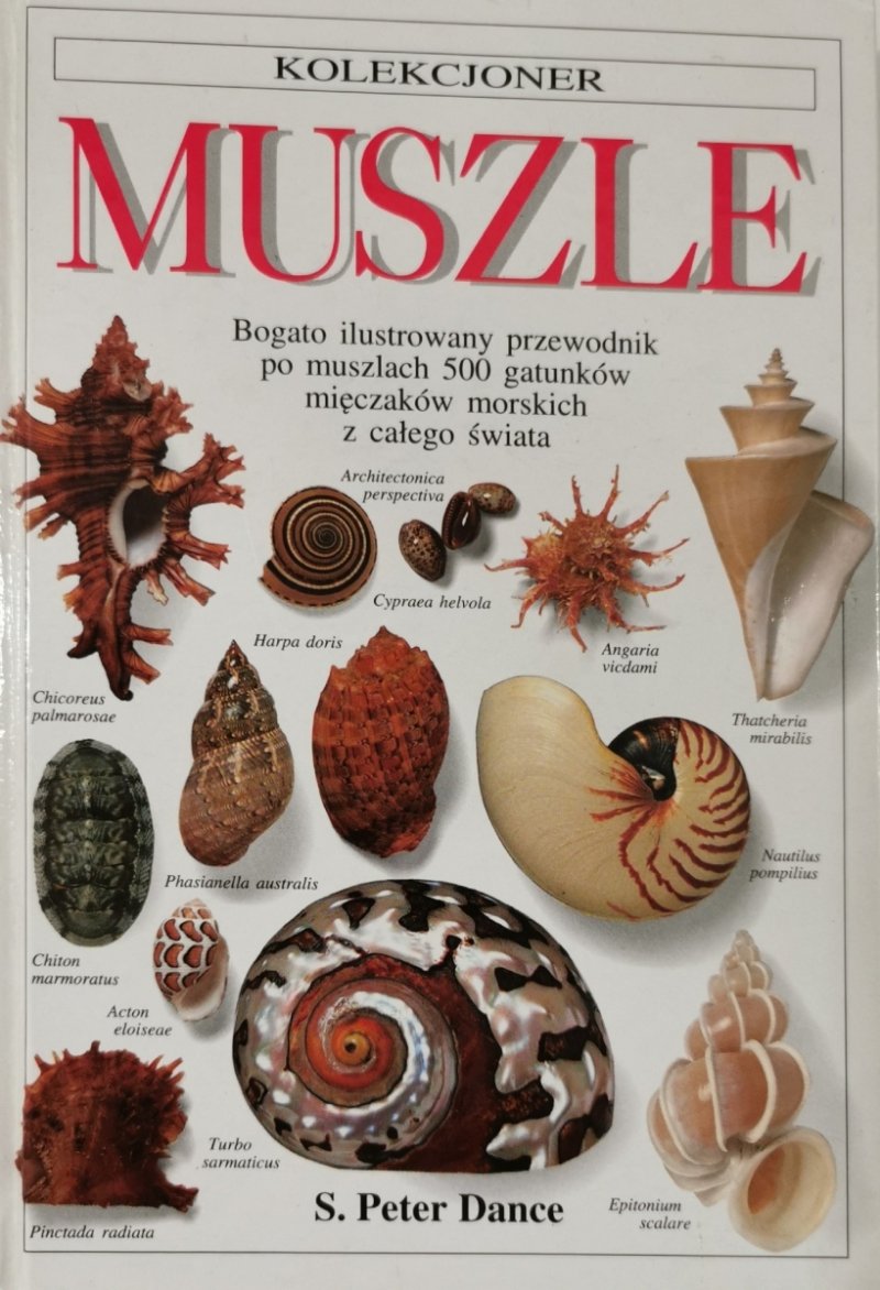 MUSZLE. BOGATO ILUSTROWANY PRZEWODNIK PO MUSZLACH 500 GATUNKÓW MIĘCZAKÓW MORSKICH Z CAŁEGO ŚWIATA 