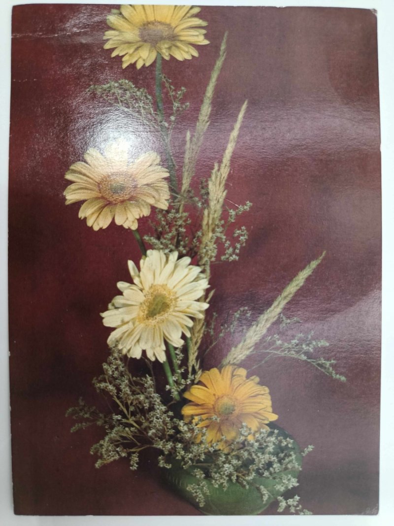 KWIATY A. JANICKA