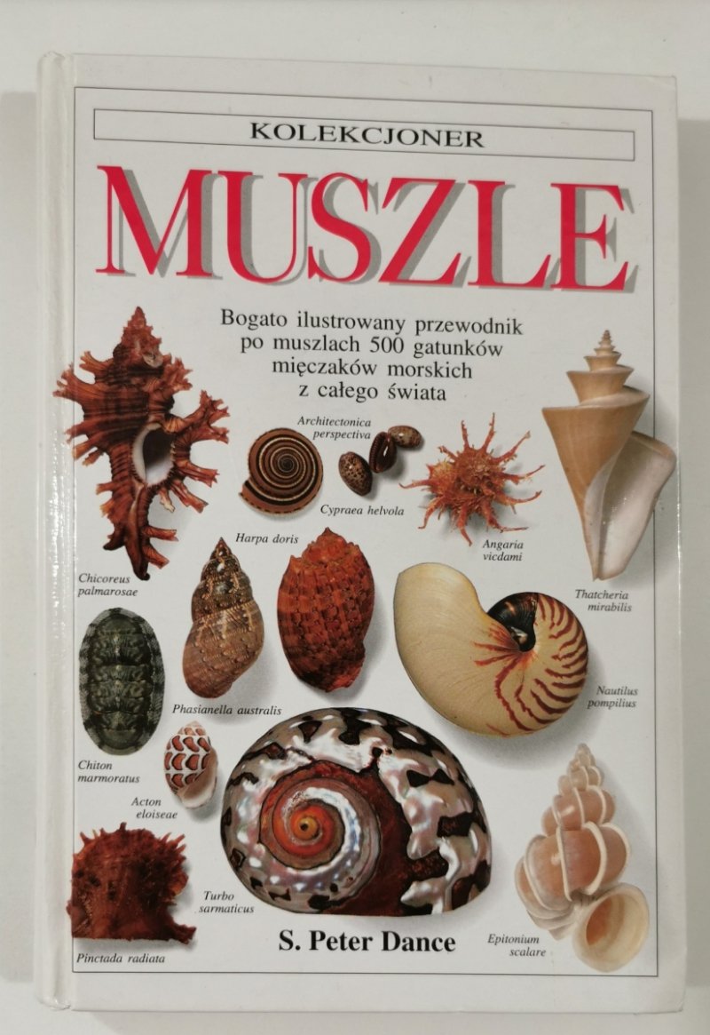 MUSZLE. BOGATO ILUSTROWANY PRZEWODNIK PO MUSZLACH 500 GATUNKÓW MIĘCZAKÓW MORSKICH Z CAŁEGO ŚWIATA 