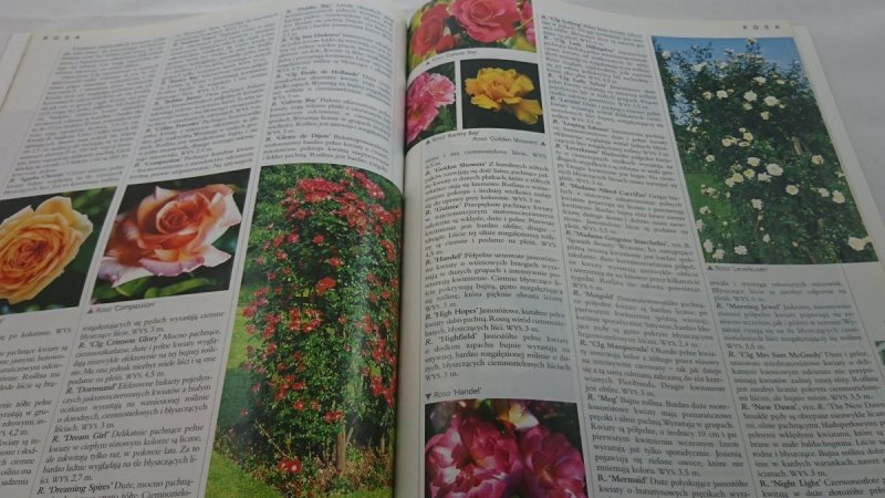 ILUSTROWANA ENCYKLOPEDIA ROŚLIN CZĘŚĆ 7/8 R-S