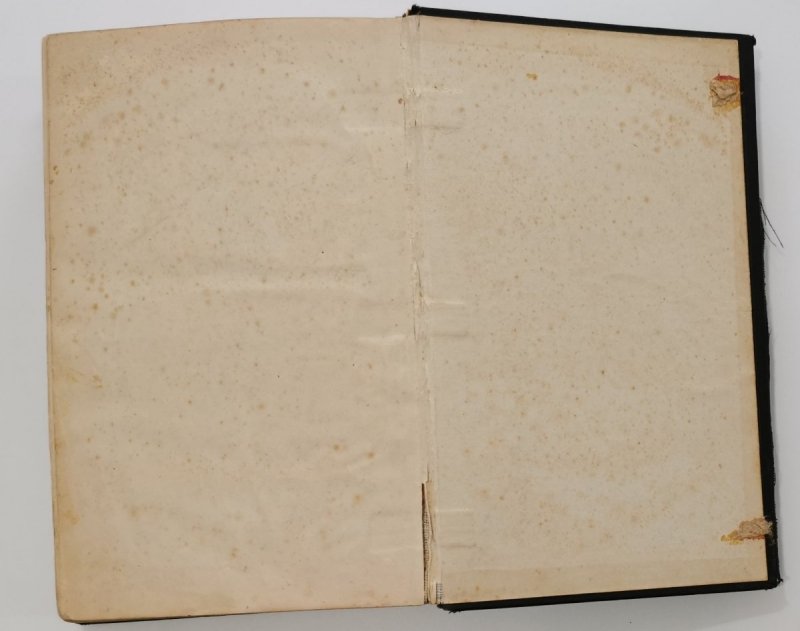 BIBLIJA  ŚWIĘTA TO JEST WSZYSTKO PISMO ŚWIĘTE STAREGO I NOWEGO TESTAMENTU 1889 r.