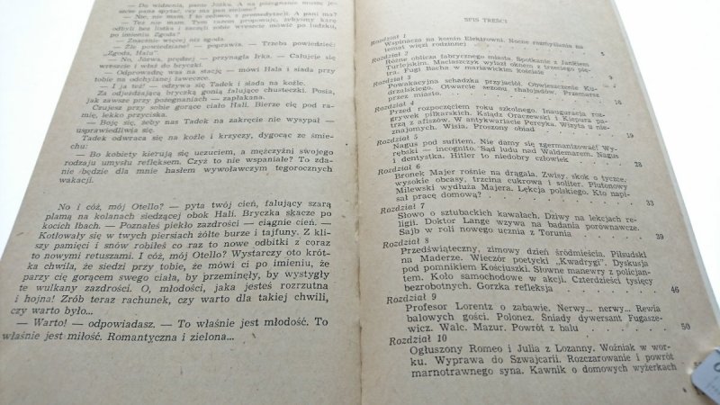 ROMANTYCZNE I ZIELONE Maciej Józef Kononowicz 1981