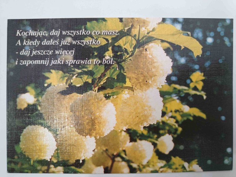 KOCHAJĄC, DAJ WSZYSTKO CO MASZ
