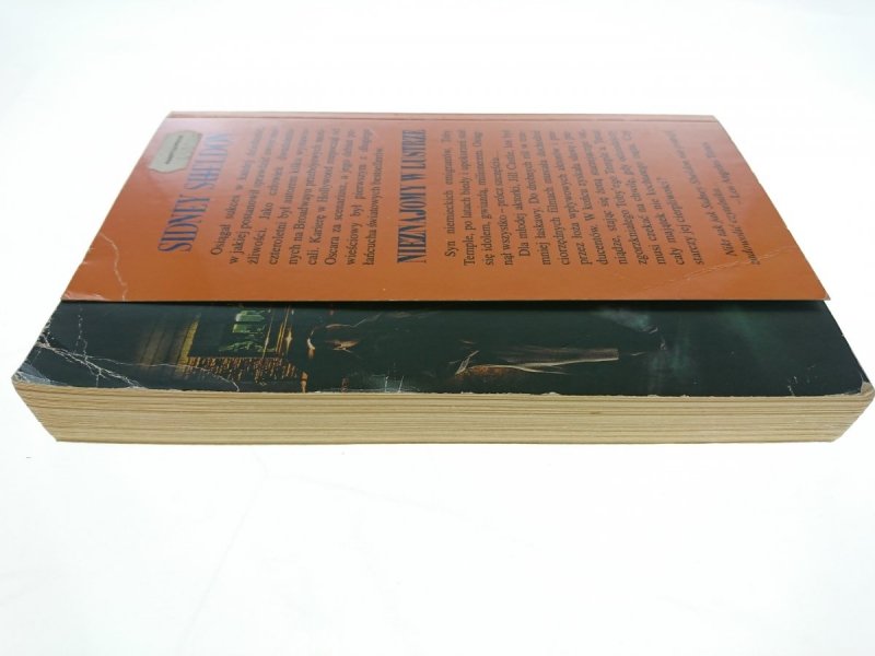 NIEZNAJOMY W LUSTRZE - Sidney Sheldon 1993