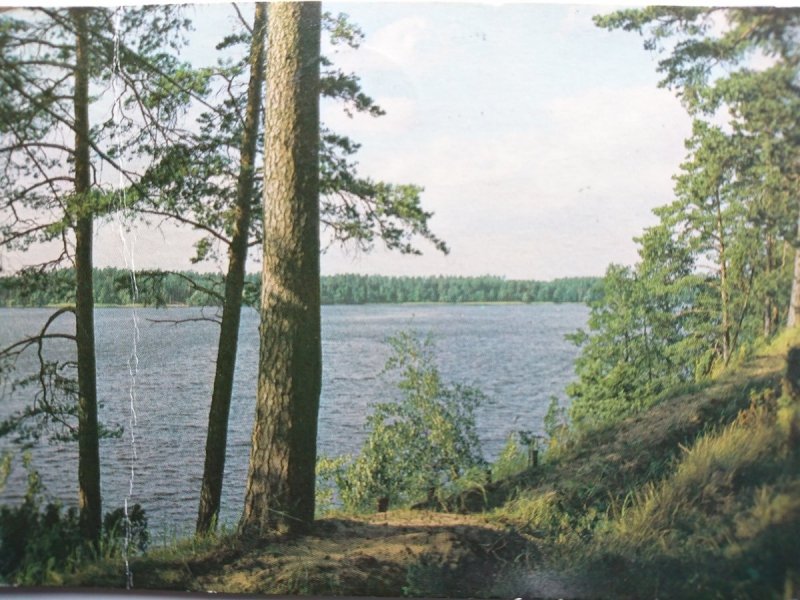 JEZIORO AUGUSTOWSKIE. JEZIORO SAJNO FOT. SUROWIEC